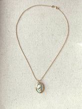 Load image into Gallery viewer, Carola Spitzer | Whisper Shell Charm necklace