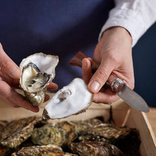 Load image into Gallery viewer, Opinel | Blister Pack No.09 Folding Oyster Knife