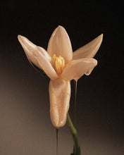Load image into Gallery viewer, Archive Poeme | Lumeur Parfum - Clean & Vegan - Vanilla Amber - 110ml