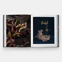 Load image into Gallery viewer, Emily Thompson Flowers