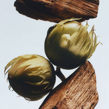 Load image into Gallery viewer, Archive Poeme | Etàle Parfum - Clean Fine Fragrance - Sandalwood - 110ml