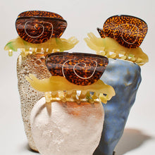 Load image into Gallery viewer, Winona Irene | Garden Snail Small Hair Claw in Yellow and Amber Acetate