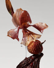 Load image into Gallery viewer, Archive Poeme | Lumeur Parfum - Clean & Vegan - Vanilla Amber - 110ml