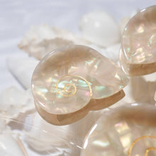 Load image into Gallery viewer, Winona Irene | Siren Sea Shell Opal Acetate Mini Hair Claw for a Mermaid