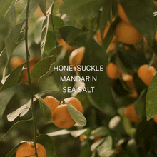 Load image into Gallery viewer, Finn & Co | White Sand Bath & Body Wash