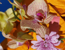 Load image into Gallery viewer, Clean Parfum Discovery Set - Floral, Gourmand, Santal