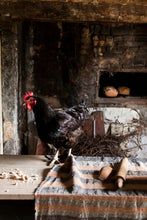 Load image into Gallery viewer, The Belgian Towel Fouta 110x180cm