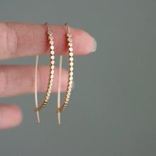 Load image into Gallery viewer, Rebecca Haas Jewelry | Darla Hoop Earrings