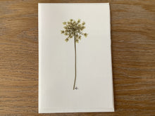 Load image into Gallery viewer, Forage &amp; Press | Pressed Flower Notecards
