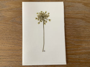 Forage & Press | Pressed Flower Notecards