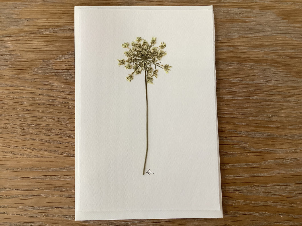 Forage & Press | Pressed Flower Notecards