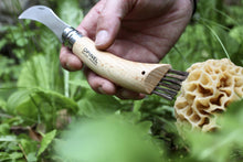 Load image into Gallery viewer, Opinel | No.08 Mushroom Knife with Brush
