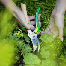 Load image into Gallery viewer, Gardening Shears
