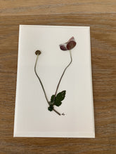Load image into Gallery viewer, Forage &amp; Press | Pressed Flower Notecards
