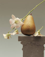 Load image into Gallery viewer, Archive Poeme | Laisse Parfum - Clean &amp; Vegan - Floral - 110ml

