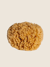 Load image into Gallery viewer, Natural bathing sea sponge

