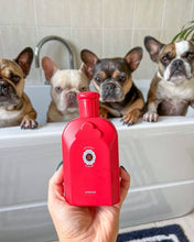 Load image into Gallery viewer, Cloud Powder 3-in-1 Dog Shampoo/Conditioner/Skin Soother
