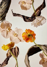 Load image into Gallery viewer, Archive Poeme | Etàle Parfum - Clean Fine Fragrance - Sandalwood - 110ml
