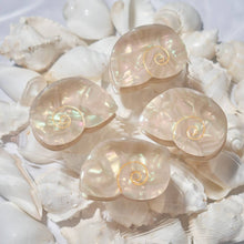 Load image into Gallery viewer, Winona Irene | Siren Sea Shell Opal Acetate Mini Hair Claw for a Mermaid
