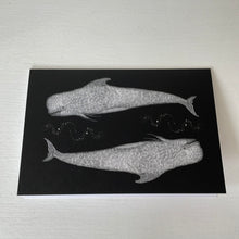 Load image into Gallery viewer, Skaar for Jessie Tobias Design | Whale &amp; Squid Notecard
