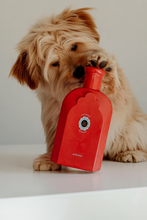 Load image into Gallery viewer, Cloud Powder 3-in-1 Dog Shampoo/Conditioner/Skin Soother
