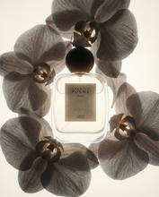 Load image into Gallery viewer, Archive Poeme | Etàle Parfum - Clean Fine Fragrance - Sandalwood - 110ml
