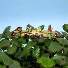 Load image into Gallery viewer, Winona Irene | Wild Strawberry French Barrette - Fruit Acetate Hair Clip
