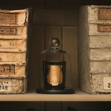 Load image into Gallery viewer, Cire Trudon | Cloche
