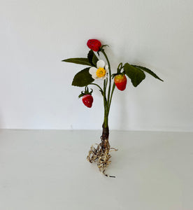 Skaar for Jessie Tobias Design | Paper Flower, Strawberries with Flower & Roots