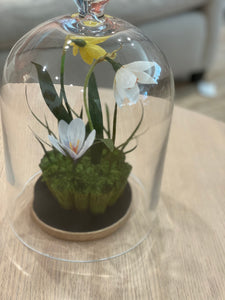 Skaar for Jessie Tobias Design | Paper Flower, Narcissus & Crocus in cloche