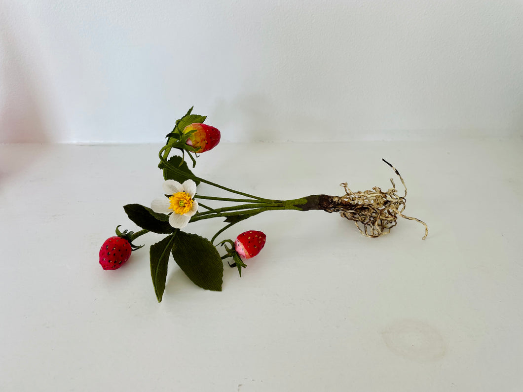 Skaar for Jessie Tobias Design | Paper Flower, Strawberries with Flower & Roots
