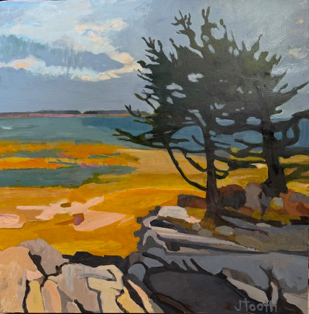 Julie Tooth | 18 x 18 x 1.5 | ‘Over Owl’s Head, Seaweed Blooms’