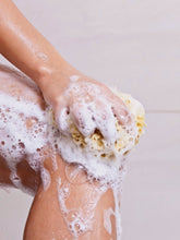 Load image into Gallery viewer, Natural bathing sea sponge
