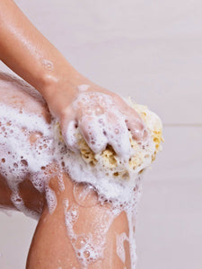 Natural bathing sea sponge