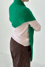 Load image into Gallery viewer, Cashmere Shawl (wholesale)
