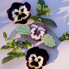 Load image into Gallery viewer, Winona Irene | Wild Pansy Mini Claw - Small Acetate Purple Flower Hair Clip
