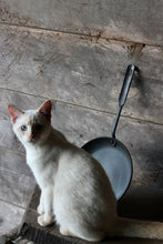 Load image into Gallery viewer, Wicks Forge l 9A Pan
