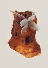 Load image into Gallery viewer, Archive Poeme | Lumeur Parfum - Clean &amp; Vegan - Vanilla Amber - 110ml
