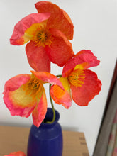 Load image into Gallery viewer, Skaar for Jessie Tobias Design | Paper Flower, Poppy, Single or Grouping

