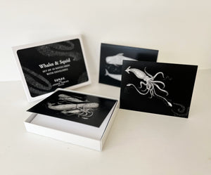 Skaar for Jessie Tobias Design | Whale & Squid Notecard Set