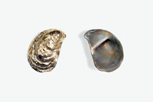 Load image into Gallery viewer, Mau House | Oyster Bottle Opener
